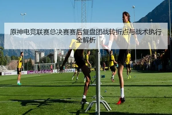 原神电竞联赛总决赛赛后复盘团战转折点与战术执行全解析